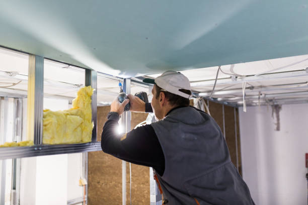 Best Affordable Insulation Services  in Barry, IL