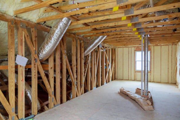 Best Home Insulation Services  in Barry, IL