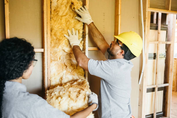 Best Insulation Installation Cost  in Barry, IL