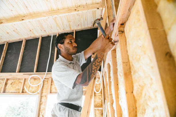 Best Insulation Contractors for Homes  in Barry, IL