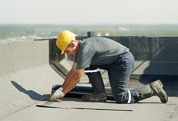 Best Attic Insulation Installation  in Barry, IL