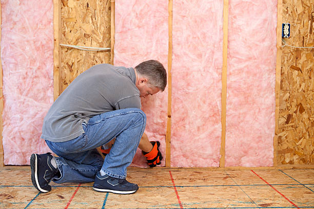 Best Soundproof Insulation Installation  in Barry, IL