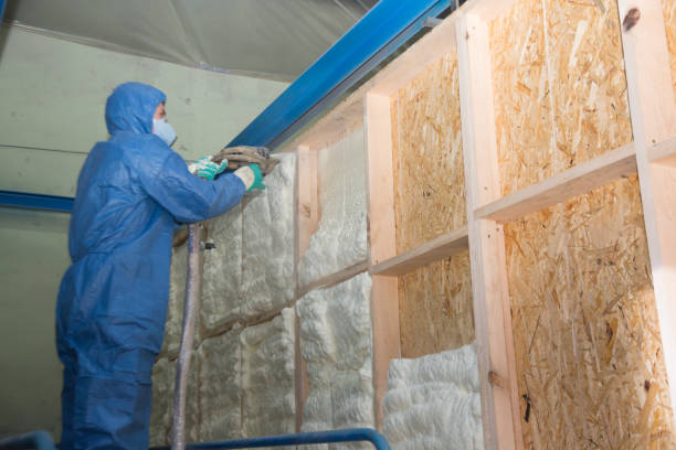 Best Affordable Insulation Services  in Barry, IL