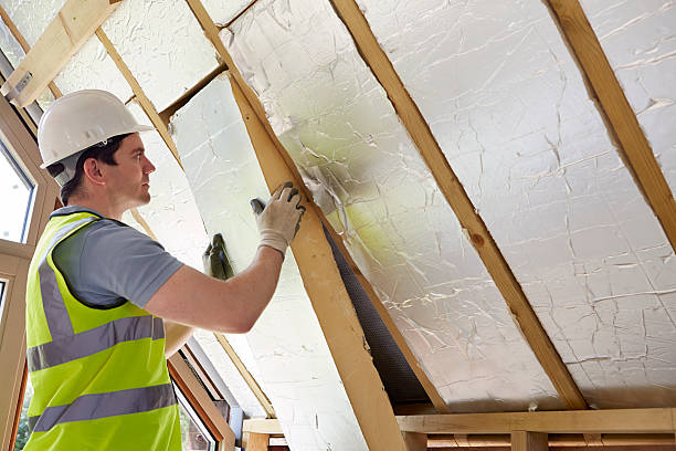 Best Insulation Repair Services  in Barry, IL