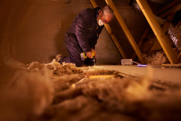 Best Energy-efficient Insulation  in Barry, IL